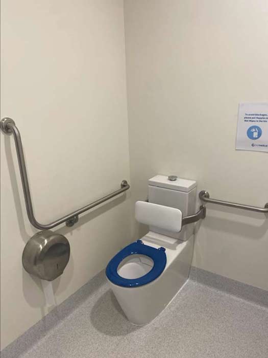 Commercial toilet installed